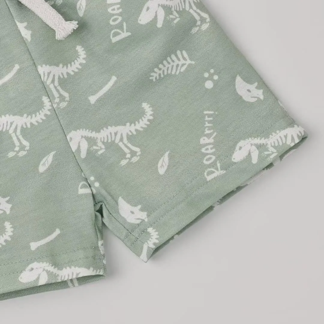 Toddler Baby Boy Clothes Boys Summer Outfits Short Sleeve Dinosaur T-Shirt & Shorts Set 2Pcs