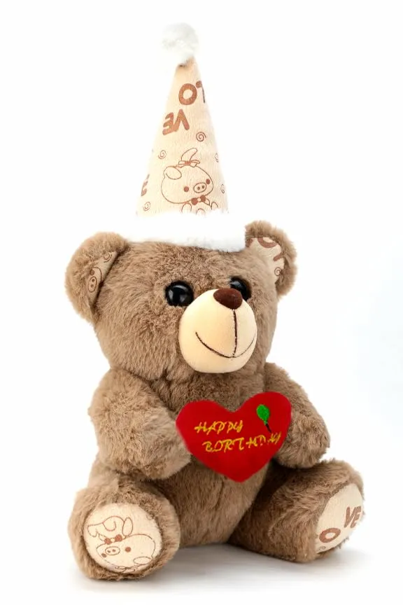 Webby Plush Birthday Teddy Bear Soft Toys