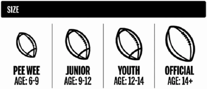 Wilson NFL Spotlight Football